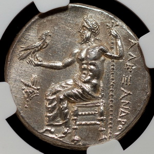 Potential-New-Addition